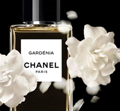 perfumes chanel gardenia|chanel gardenia perfume for women.